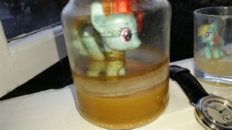 The project gained notoriety after on November 27th, 2014, the user reported that he had accidentally heated the contents of the jar, with the story widely reported in the media. In the following years, the Pony Cum Jar Project became a popular reference on social media, with some users recreating the project with other figurines.